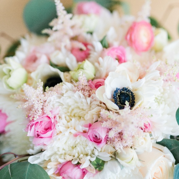 Meet your Posher, Abby - Picture 2 of 2